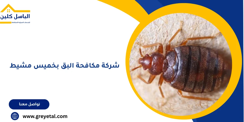 شركة مكافحة البق بخميس مشيط