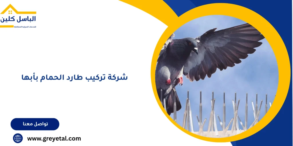 شركة تركيب طارد الحمام بأبها