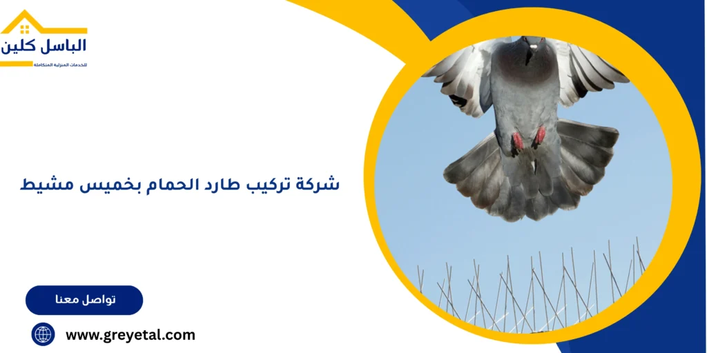 شركة تركيب طارد الحمام بخميس مشيط