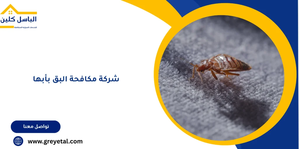 شركة مكافحة البق بأبها