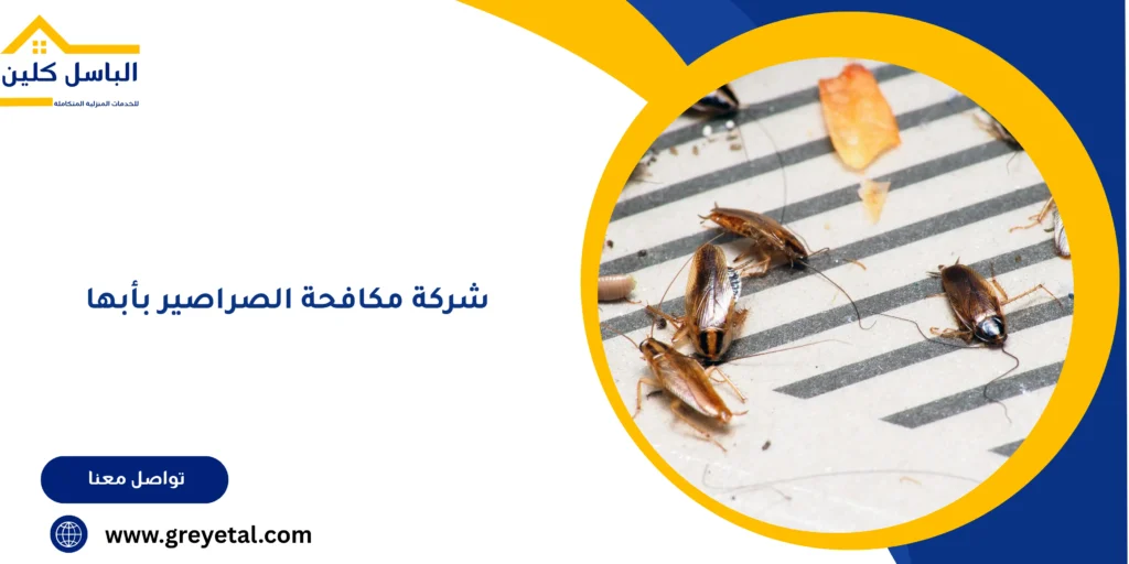 شركة مكافحة الصراصير بأبها