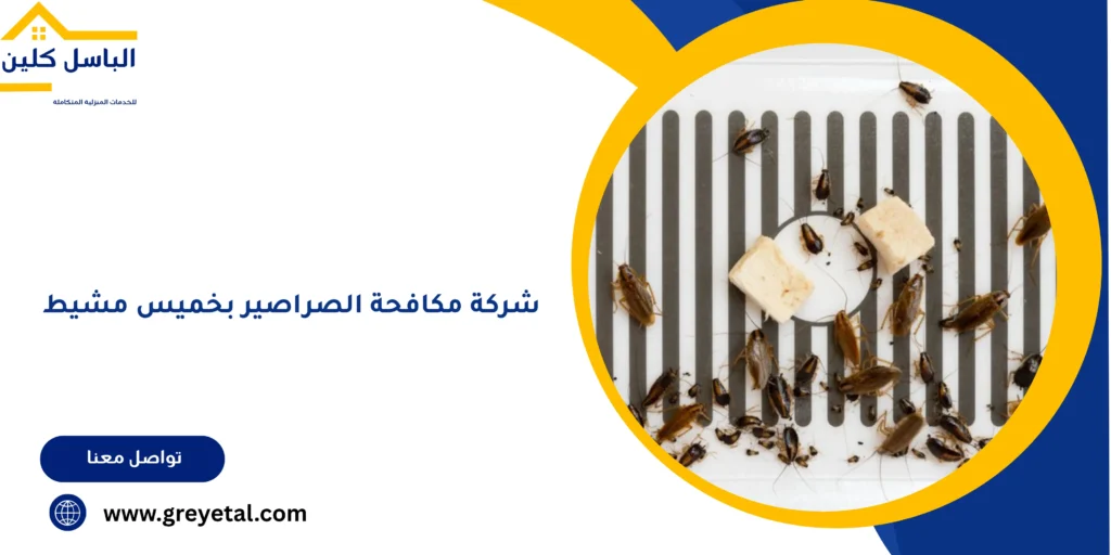 شركة مكافحة الصراصير بخميس مشيط