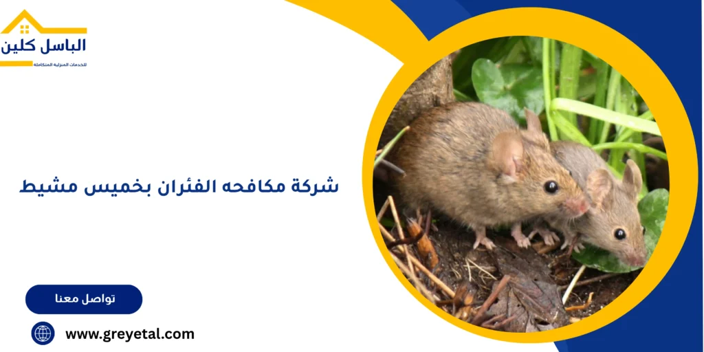 شركة مكافحه الفئران بخميس مشيط