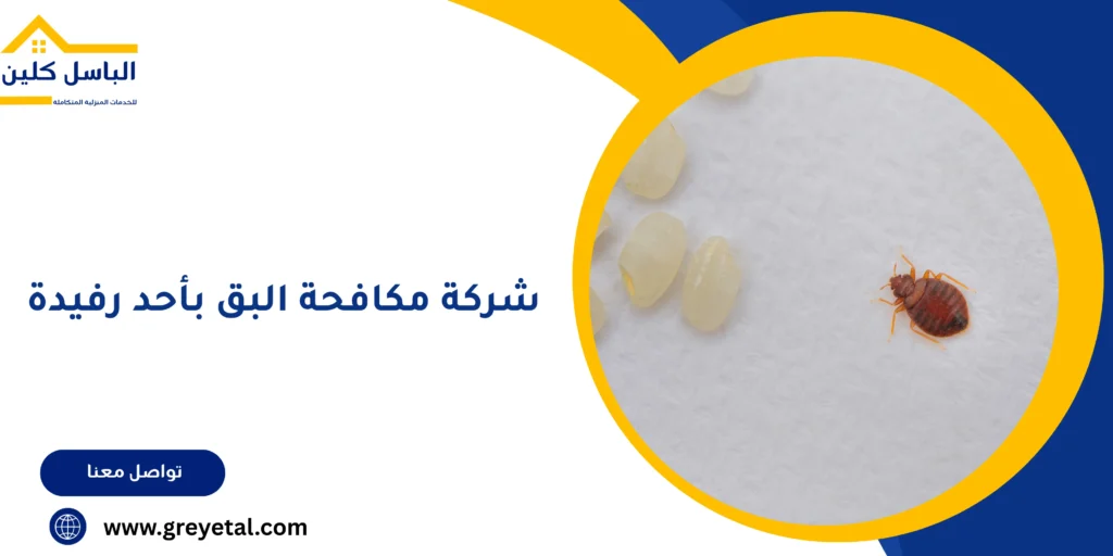 شركة مكافحة البق بأحد رفيدة