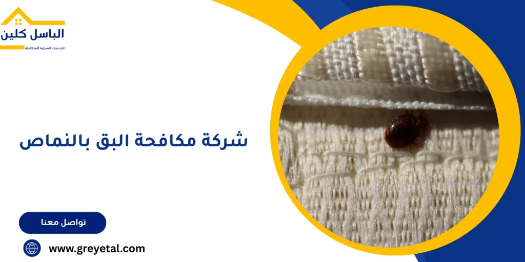 شركة مكافحة البق بالنماص