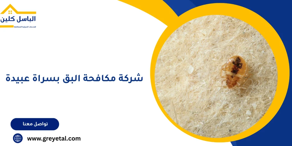 شركة مكافحة البق بسراة عبيدة