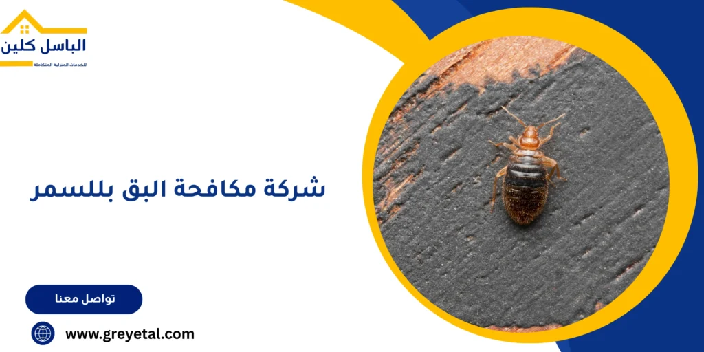 شركة مكافحة البق بللسمر