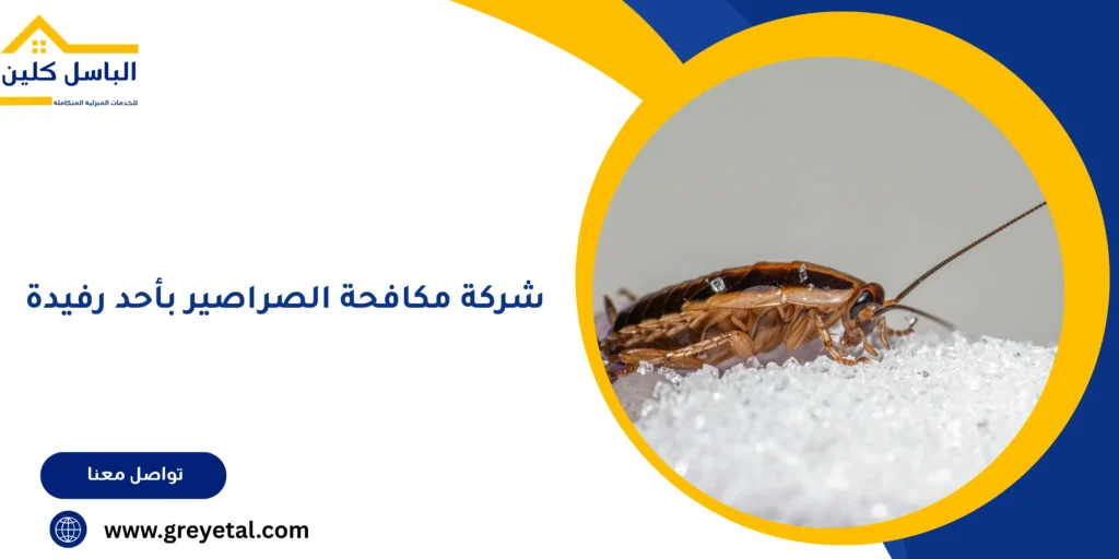 شركة مكافحة الصراصير بأحد رفيدة
