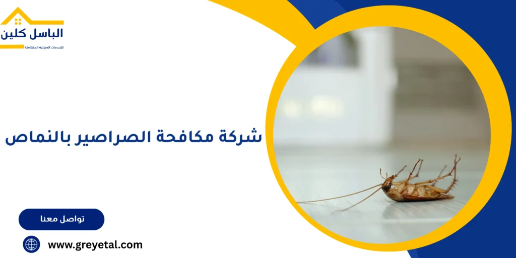 شركة مكافحة الصراصير بالنماص