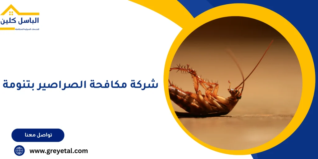 شركة مكافحة الصراصير بتنومة