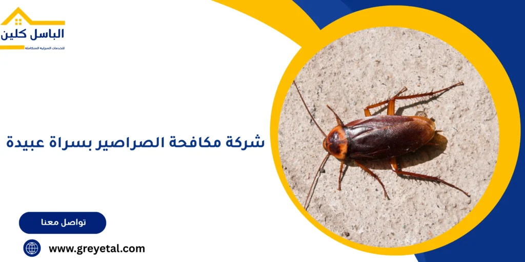 شركة مكافحة الصراصير بسراة عبيدة