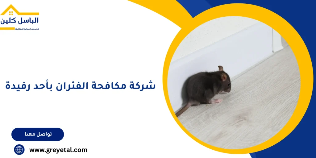شركة مكافحة الفئران بأحد رفيدة