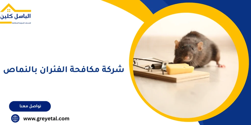شركة مكافحة الفئران بالنماص