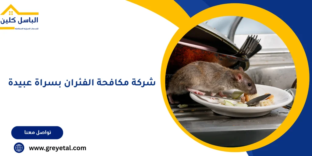 شركة مكافحة الفئران بسراة عبيدة
