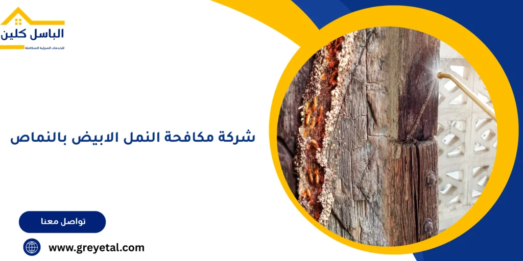 شركة مكافحة النمل الابيض بالنماص