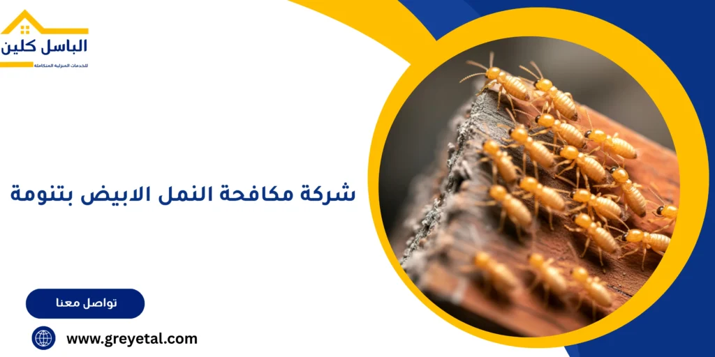 شركة مكافحة النمل الابيض بتنومة