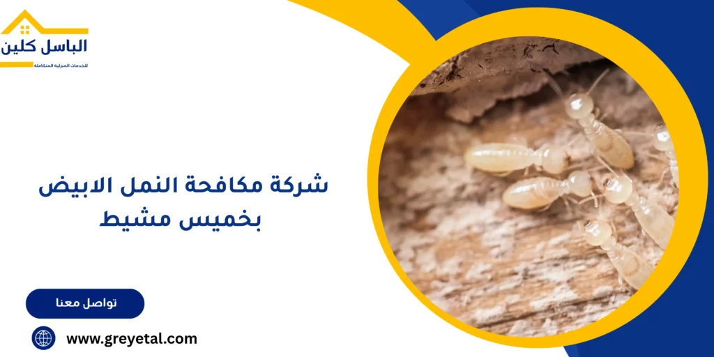 شركة مكافحة النمل الابيض بخميس مشيط