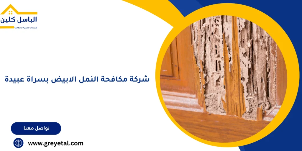 شركة مكافحة النمل الابيض بسراة عبيدة