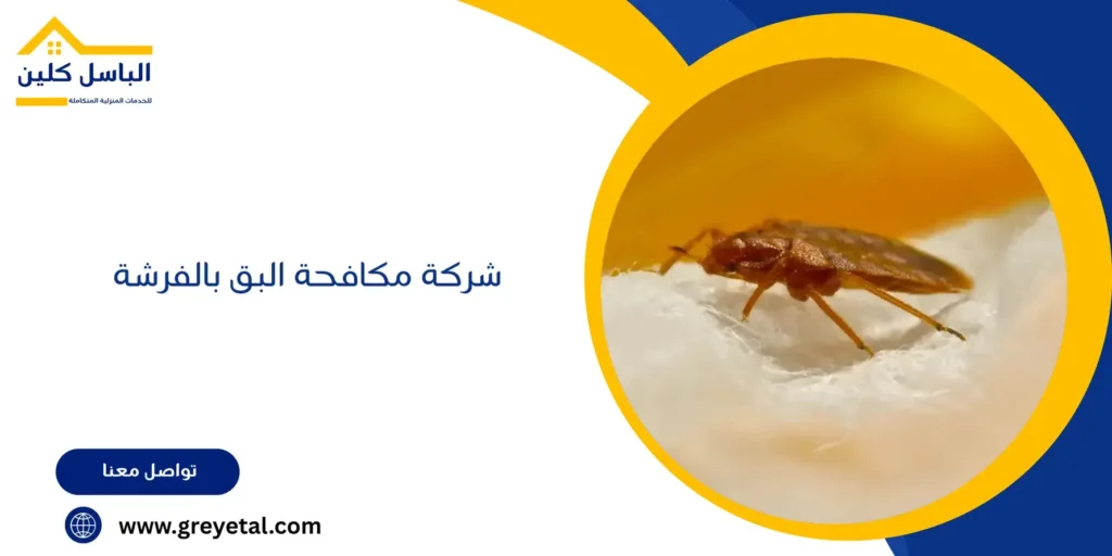شركة مكافحة البق بالفرشة