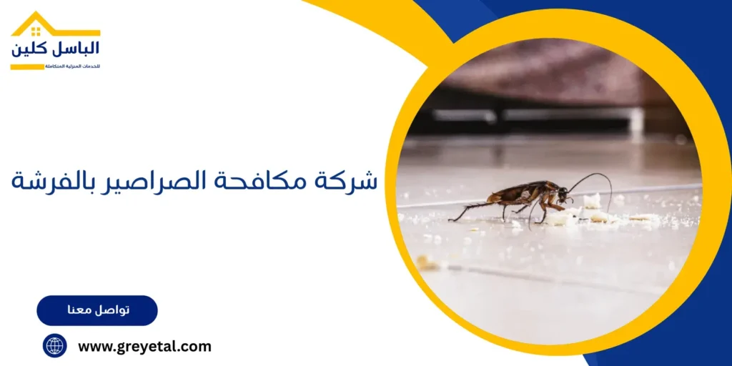 شركة مكافحة الصراصير بالفرشة