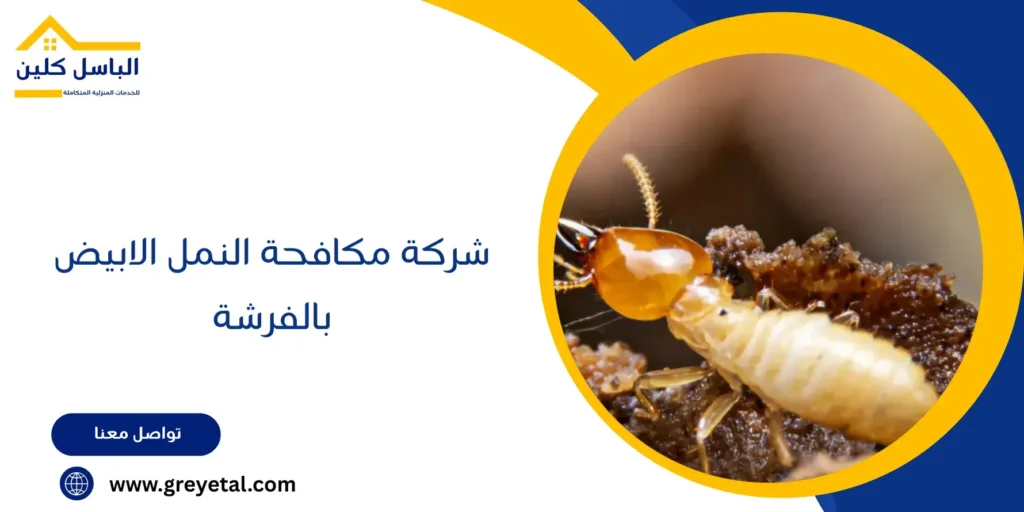 شركة مكافحة النمل الابيض بالفرشة